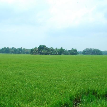 Hotel Triveny River Palace Alappuzha Zewnętrze zdjęcie