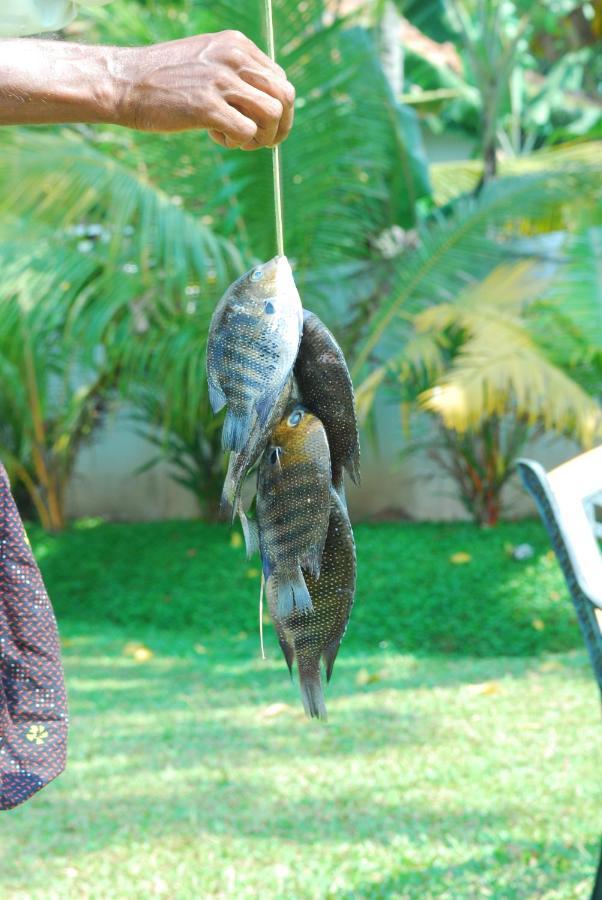 Hotel Triveny River Palace Alappuzha Zewnętrze zdjęcie